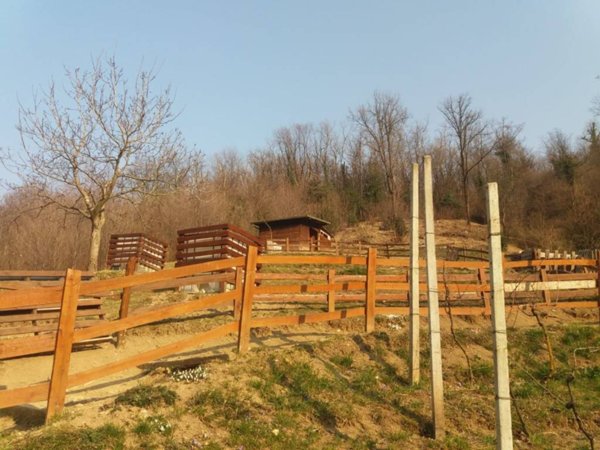 terreno agricolo in vendita a Palazzago