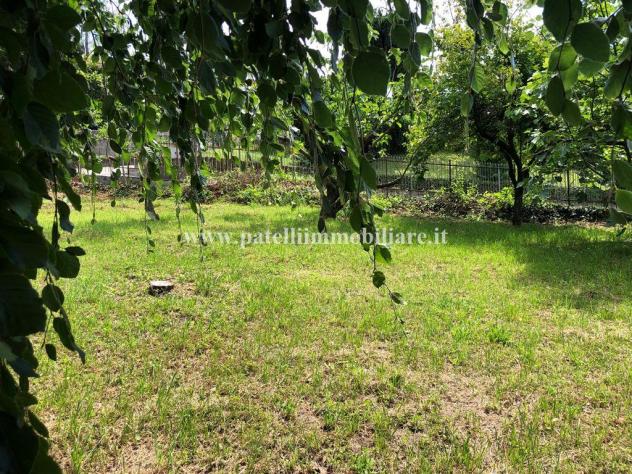 terreno agricolo in vendita a Palazzago