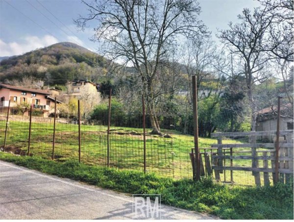 immagine annuncio 0 di 8