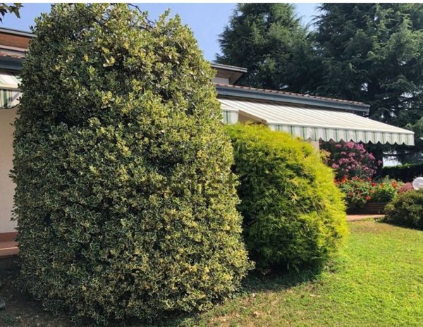 casa indipendente in vendita a Palazzago