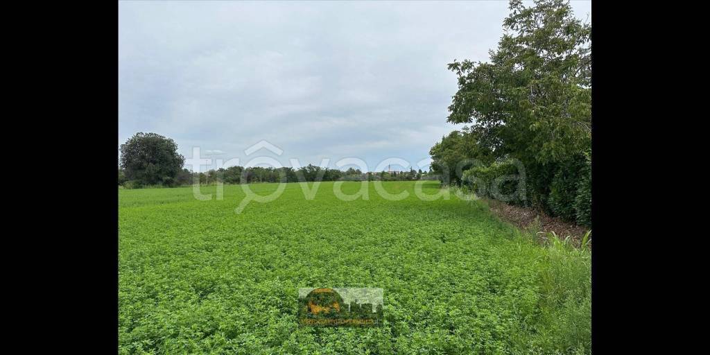 terreno agricolo in vendita a Palosco