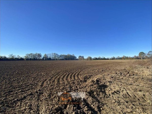 terreno agricolo in vendita a Palosco
