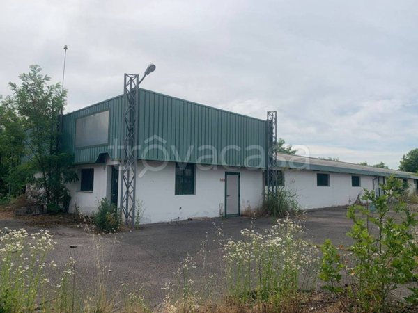 immagine annuncio 0 di 15