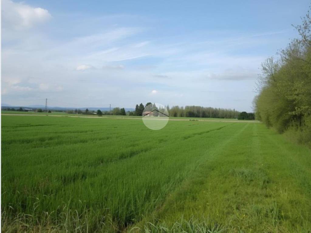 terreno agricolo in vendita a Palosco