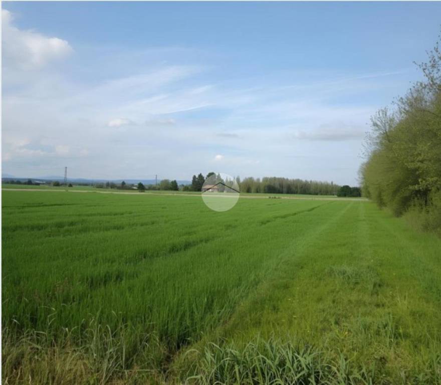 terreno agricolo in vendita a Palosco