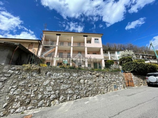 casa indipendente in vendita a Parzanica