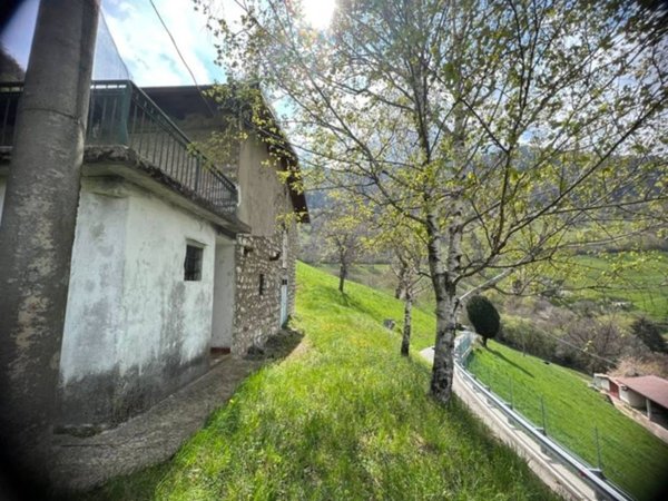 casa indipendente in vendita a Parzanica