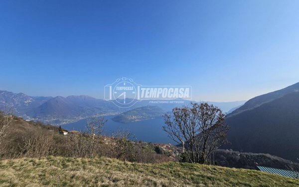terreno agricolo in vendita a Parzanica