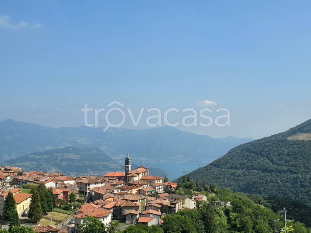 casa indipendente in vendita a Parzanica