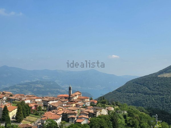 esavano in vendita a Parzanica