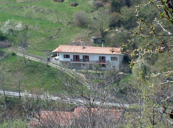 casa indipendente in vendita a Parzanica