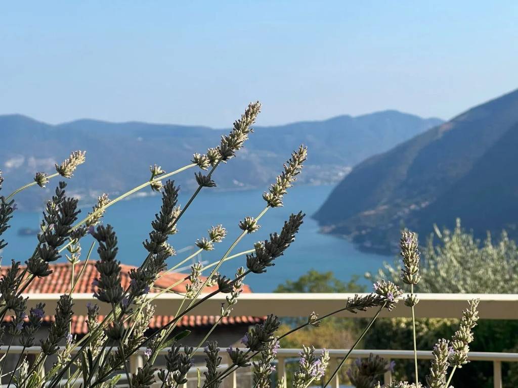 appartamento in vendita a Parzanica