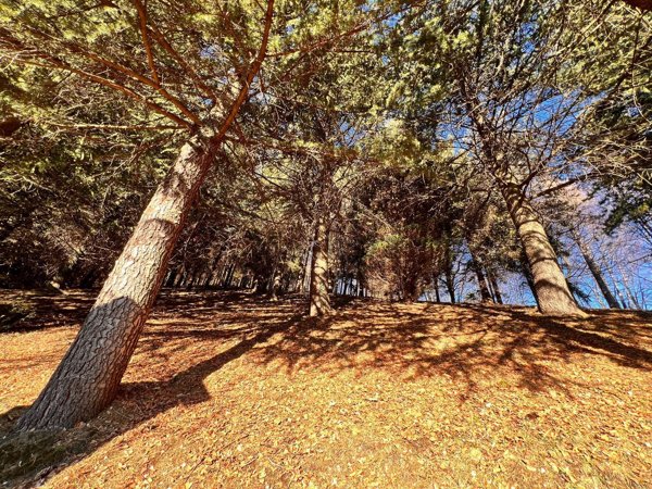 casa indipendente in vendita a Parzanica