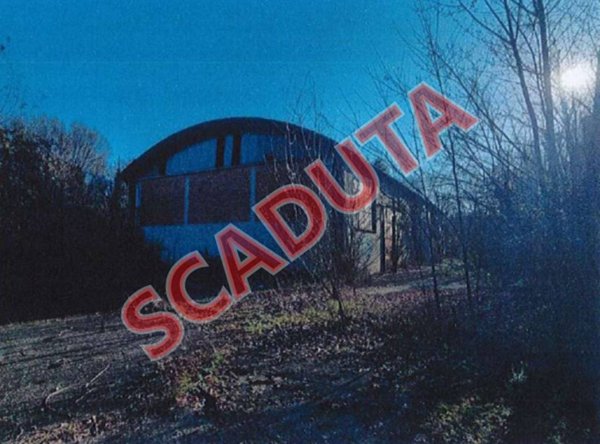 locale commerciale in vendita a Pedrengo