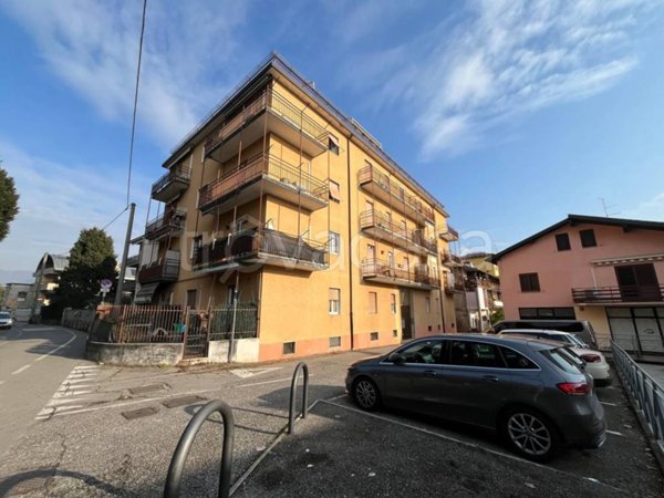 immagine annuncio 0 di 15