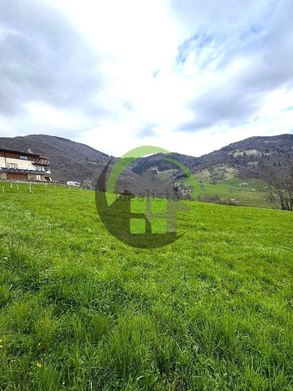 terreno edificabile in vendita a Peia