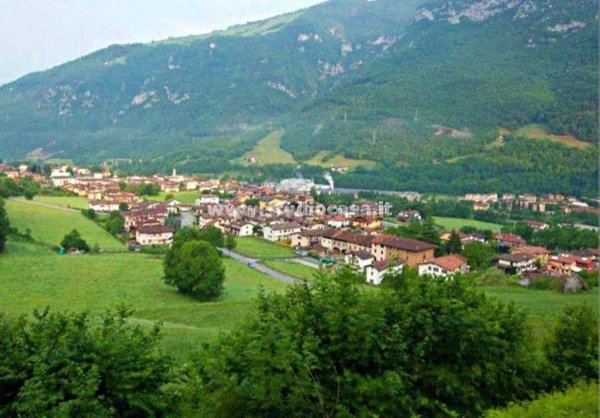 pentavano in vendita a Piario