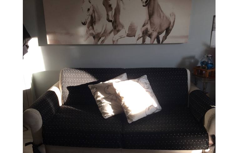 appartamento in vendita a Pognano