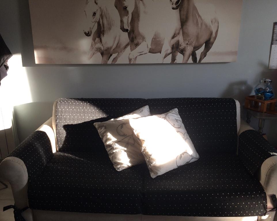 appartamento in vendita a Pognano