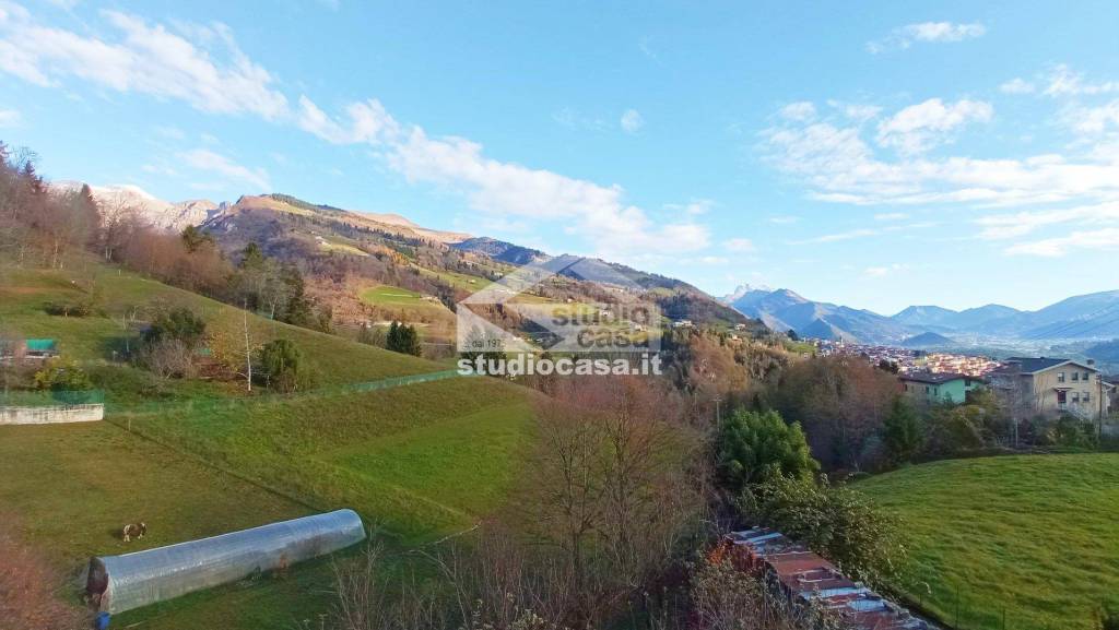 immagine annuncio 0 di 15