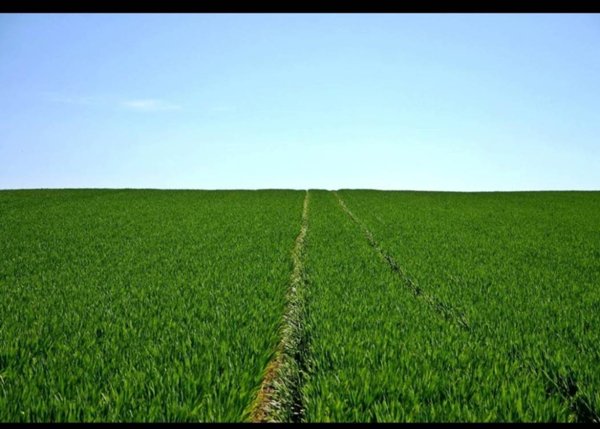 terreno agricolo in vendita a Ponteranica