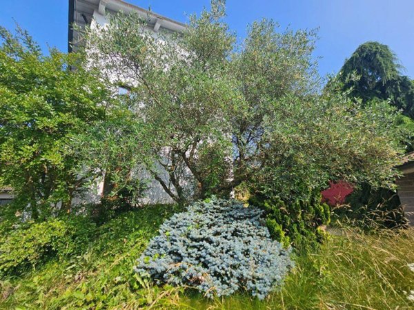 casa indipendente in vendita a Ponteranica