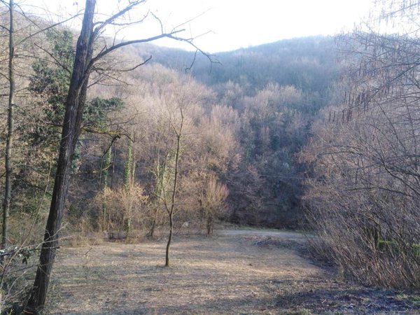 terreno agricolo in vendita a Ponteranica