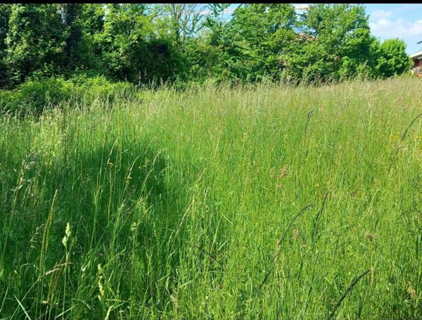 terreno agricolo in vendita a Ponteranica