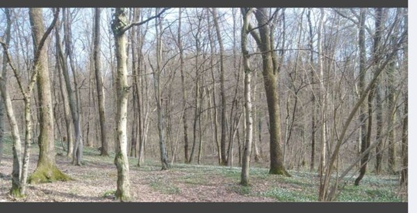 villa in vendita a Ponteranica