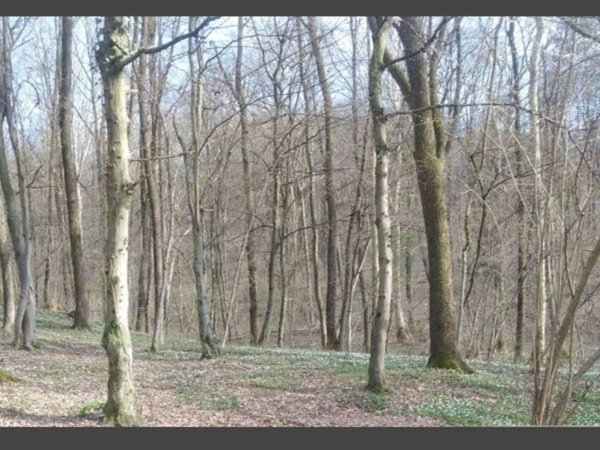 villa in vendita a Ponteranica