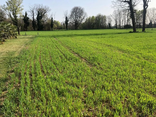 casa indipendente in vendita a Ponte San Pietro
