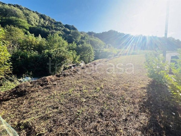 terreno agricolo in vendita a Pontida