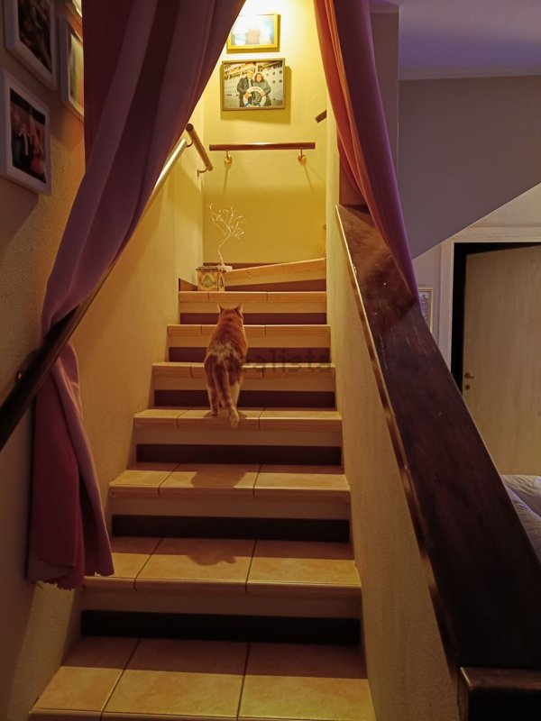 appartamento in vendita a Pontida