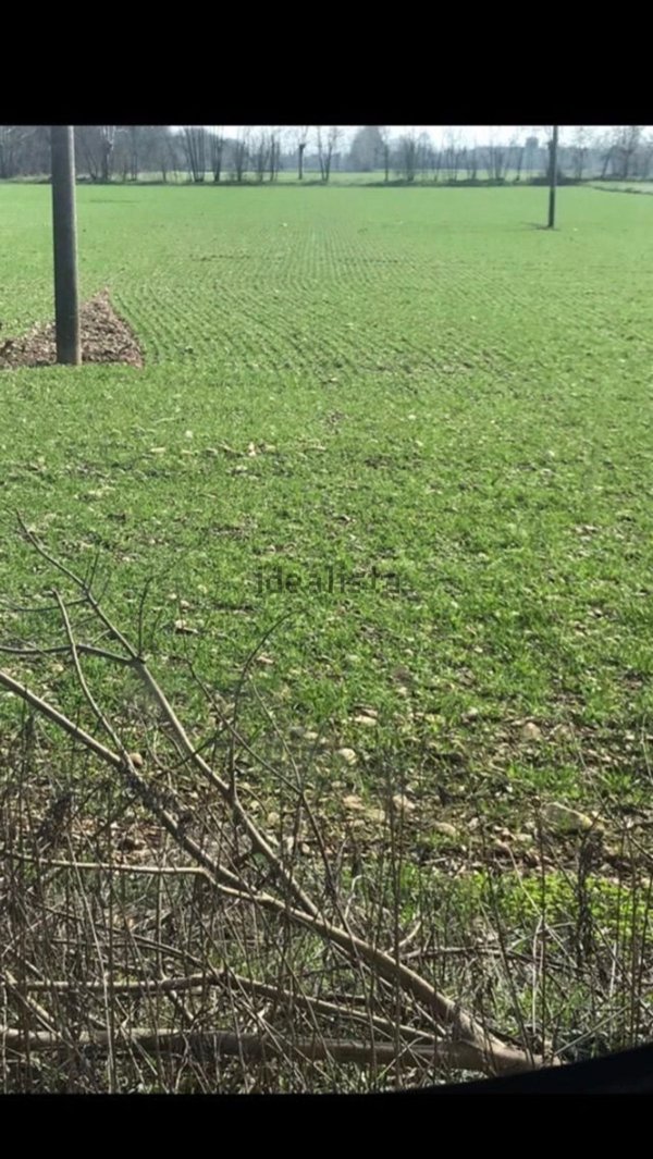 terreno agricolo in vendita a Pontirolo Nuovo