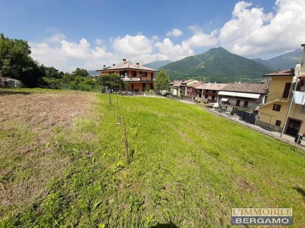 terreno agricolo in vendita a Pradalunga