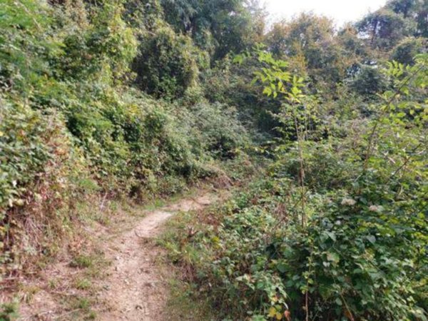 terreno agricolo in vendita a Pradalunga