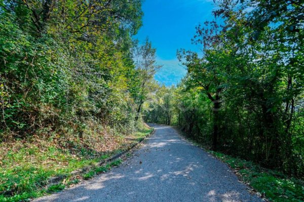 terreno agricolo in vendita a Pradalunga
