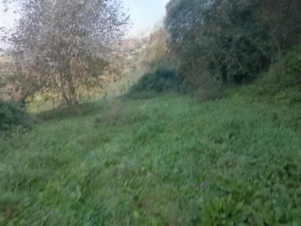 terreno agricolo in vendita a Pradalunga