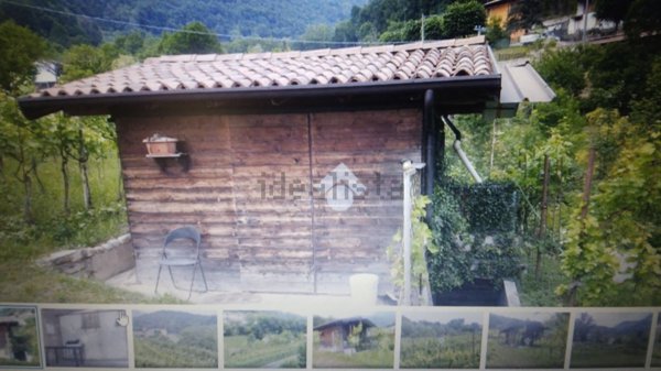 terreno agricolo in vendita a Pradalunga