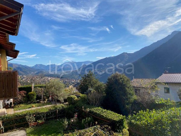 immagine annuncio 0 di 15