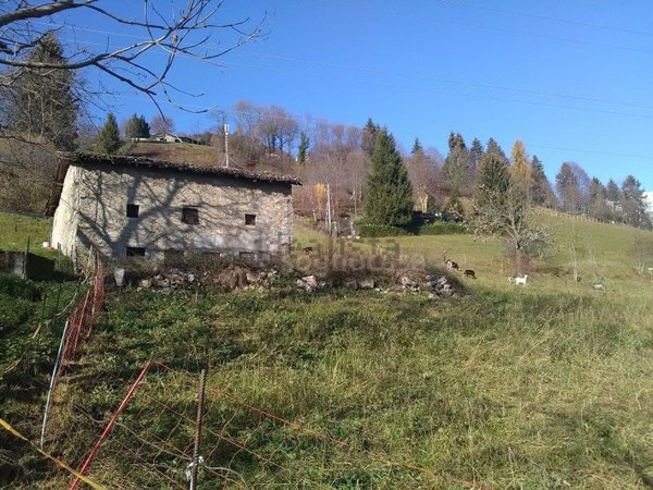 quadrivano in vendita a Premolo