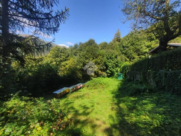 terreno agricolo in vendita ad Angrogna
