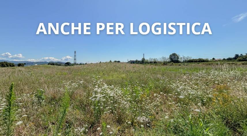 immagine annuncio 0 di 5