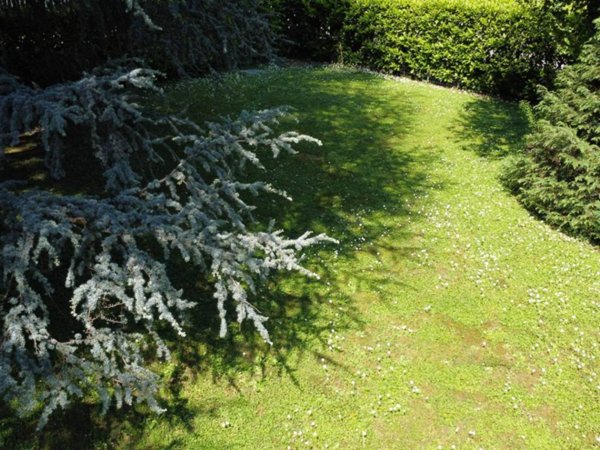 casa indipendente in vendita a Presezzo