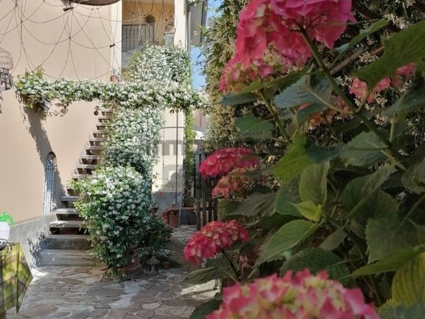 immagine annuncio 0 di 15