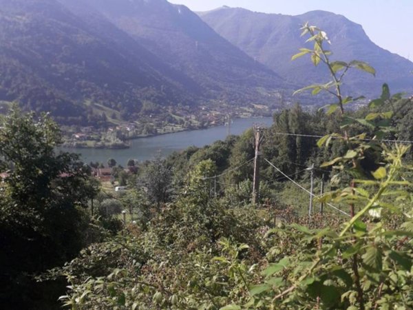 terreno agricolo in vendita a Ranzanico