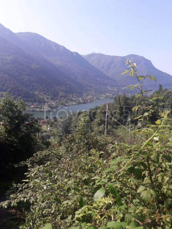 terreno agricolo in vendita a Ranzanico