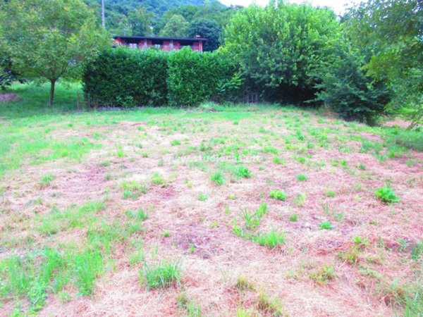 terreno agricolo in vendita a Ranzanico