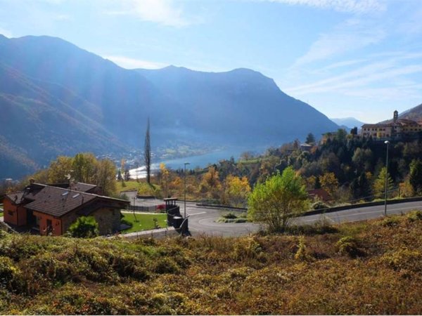 terreno agricolo in vendita a Ranzanico