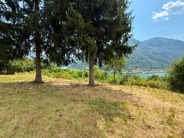 terreno agricolo in vendita a Ranzanico